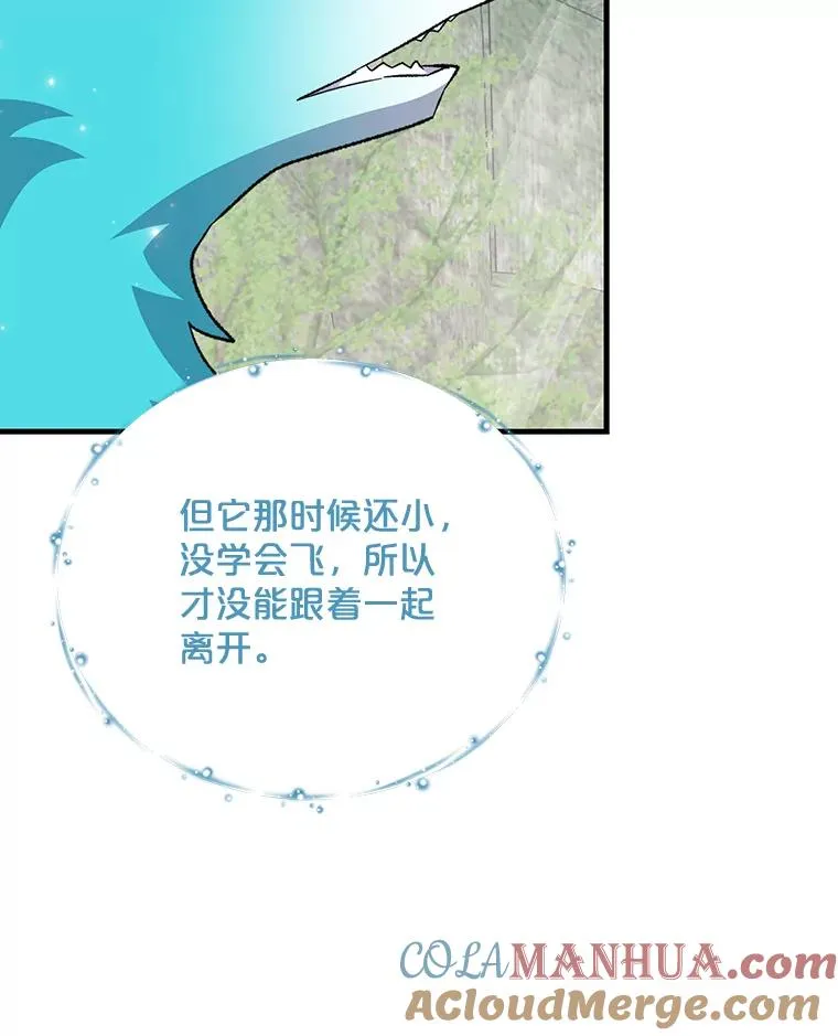 81.蓝飞龙48
