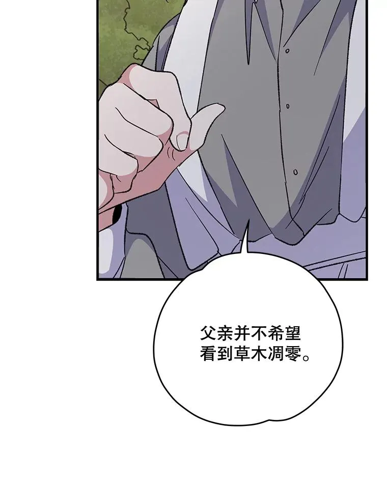 79.精灵格布25