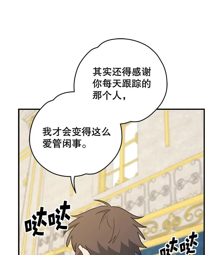 31.阿贝尔暴走26