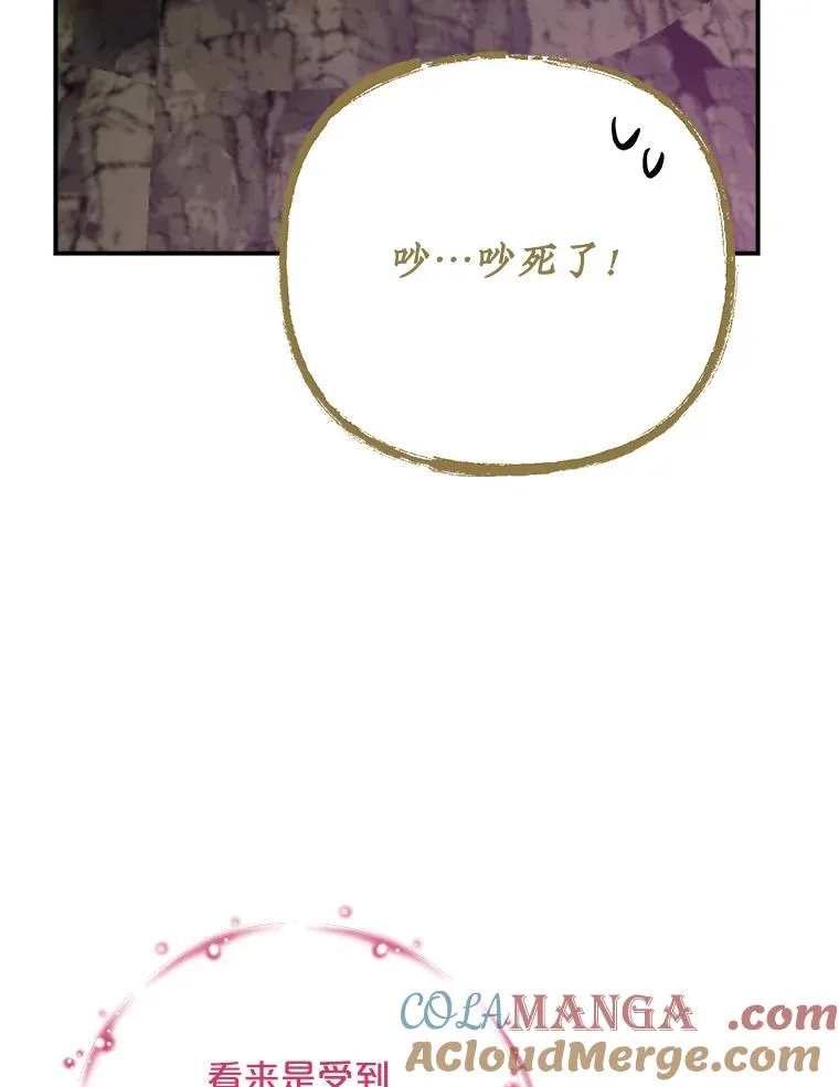 107.嘉亚100
