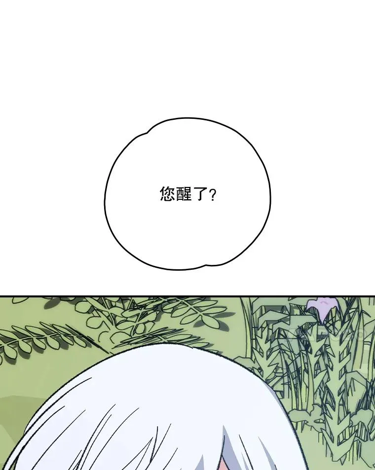 126.重新启程33