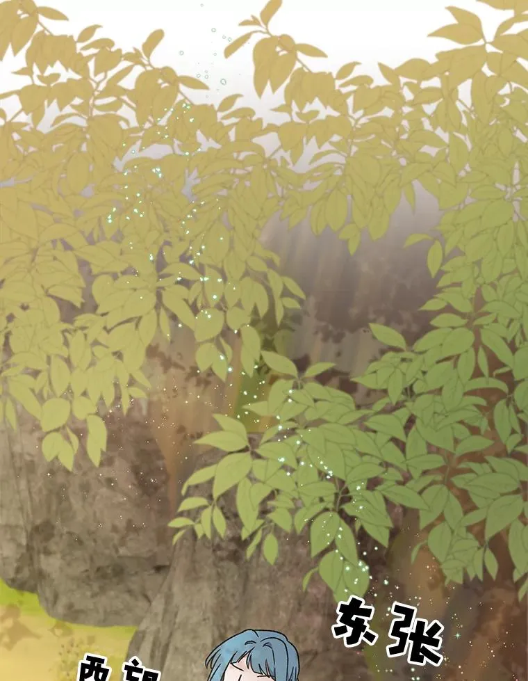 29.精灵契约33