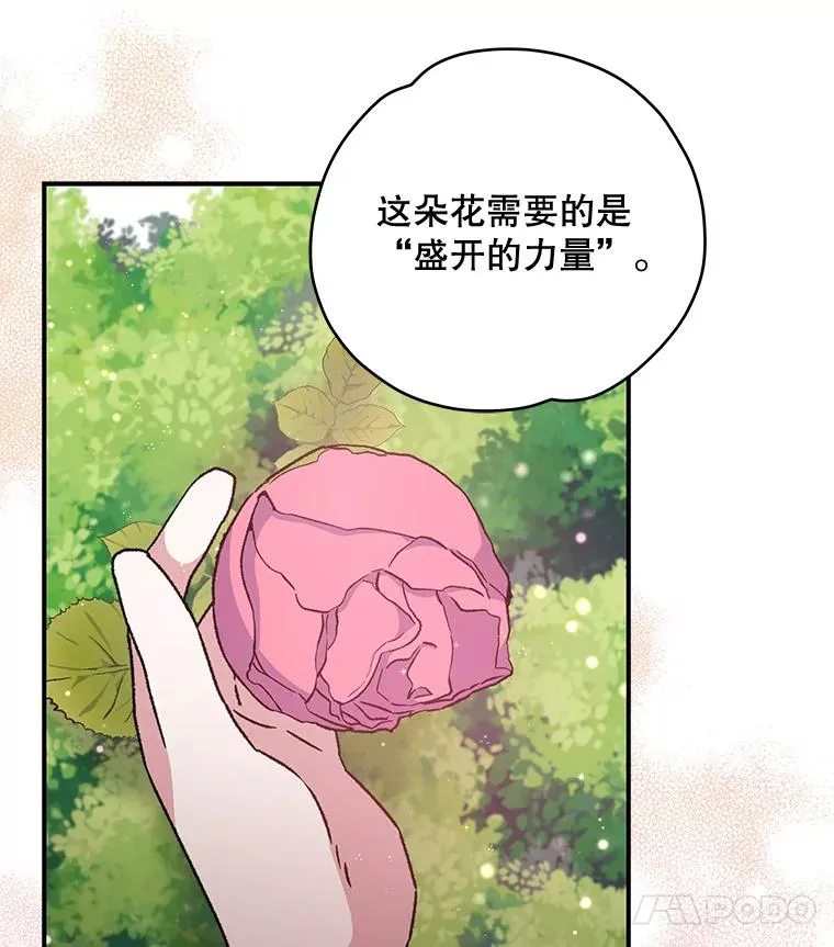 27.阿贝尔73