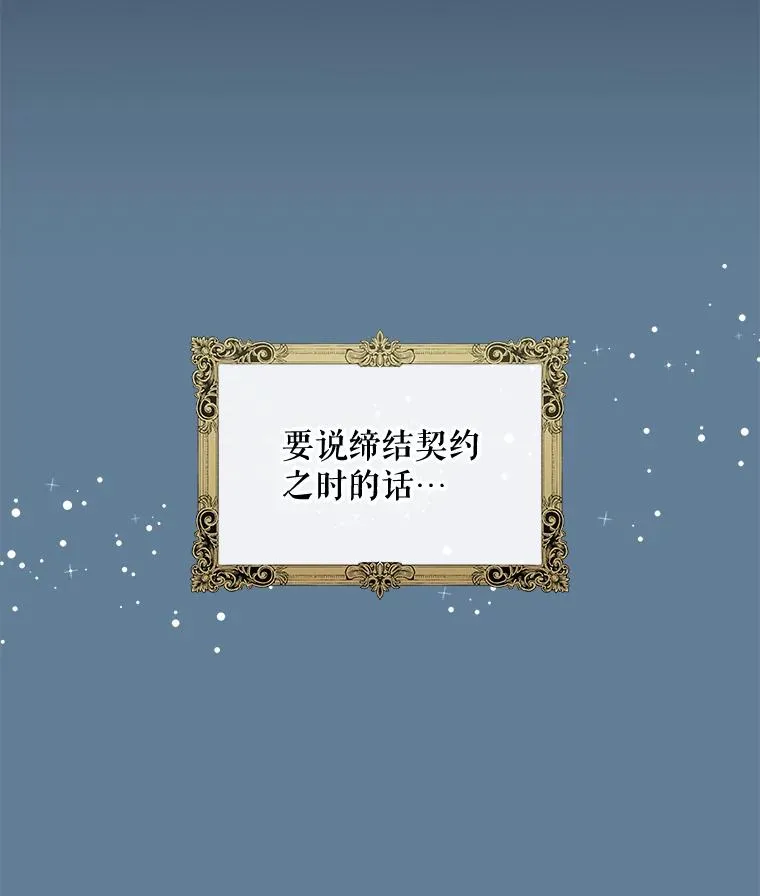 29.精灵契约81
