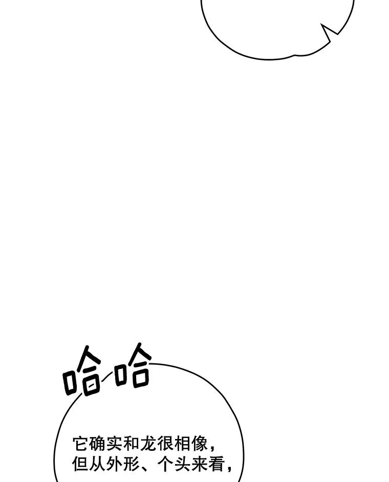 81.蓝飞龙5