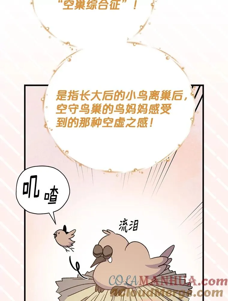 50.科尔96