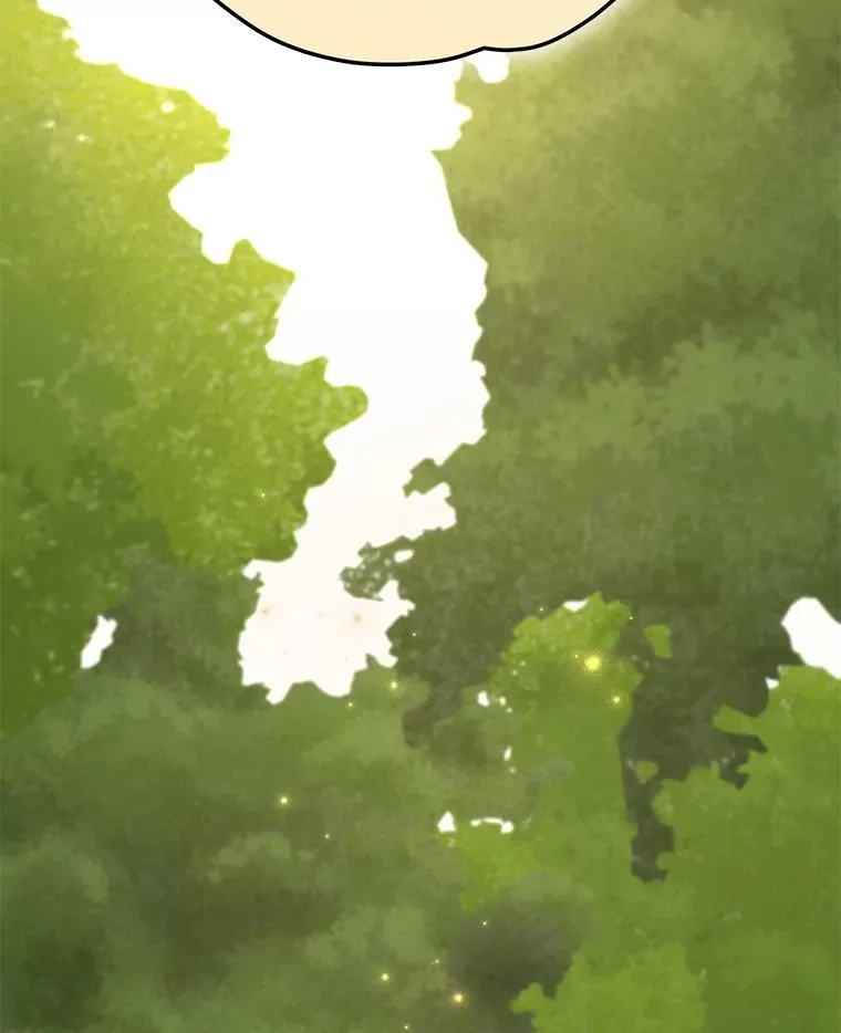 79.精灵格布1