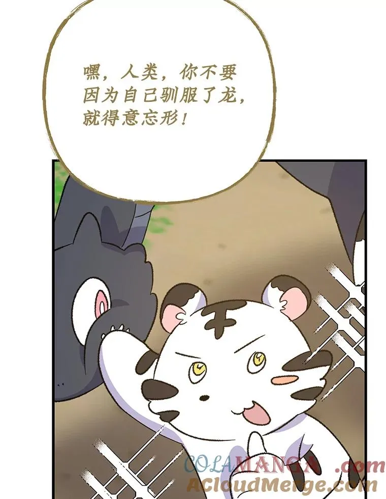 99.白虎的苦衷116