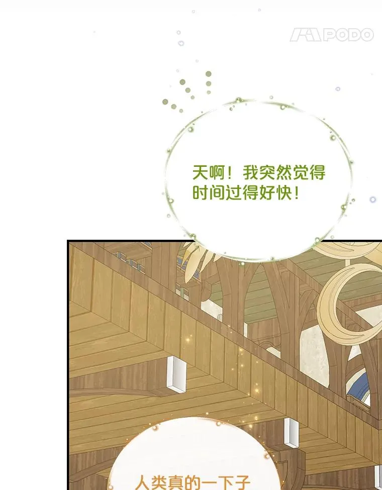 50.科尔51