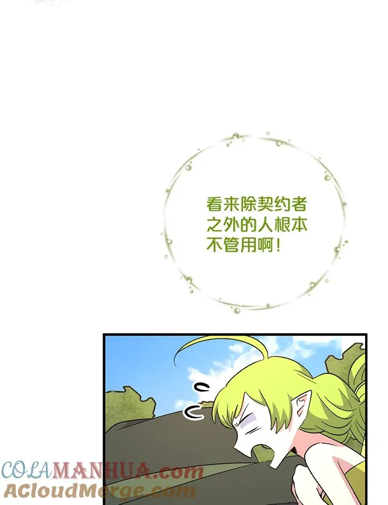 79.精灵格布28