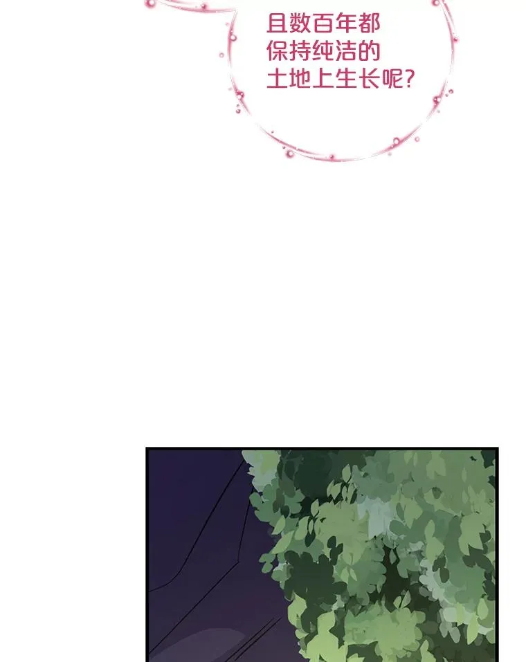 94.寻找魔女41