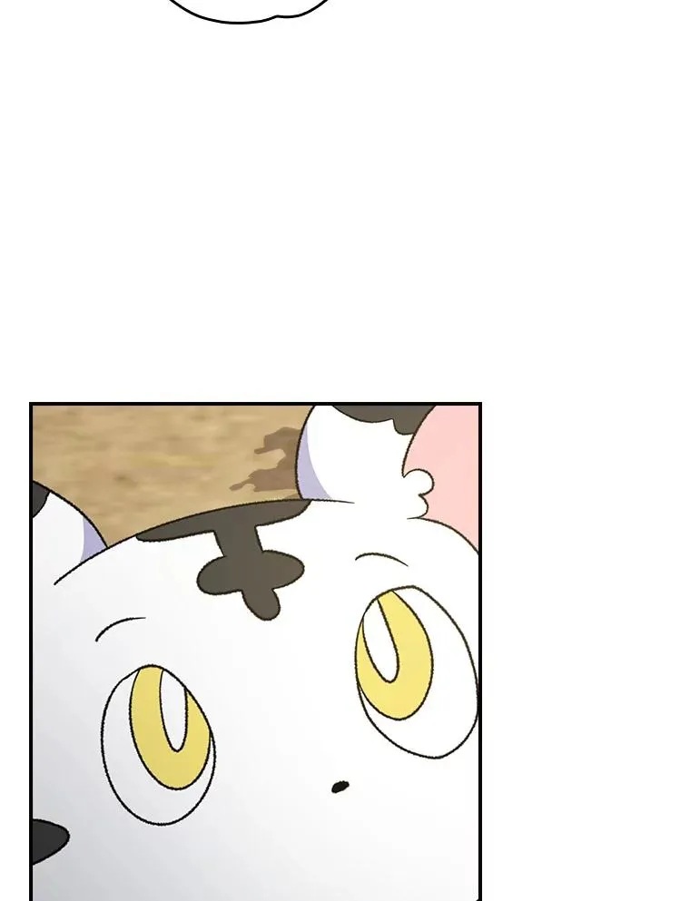 104.夏允的宫殿99