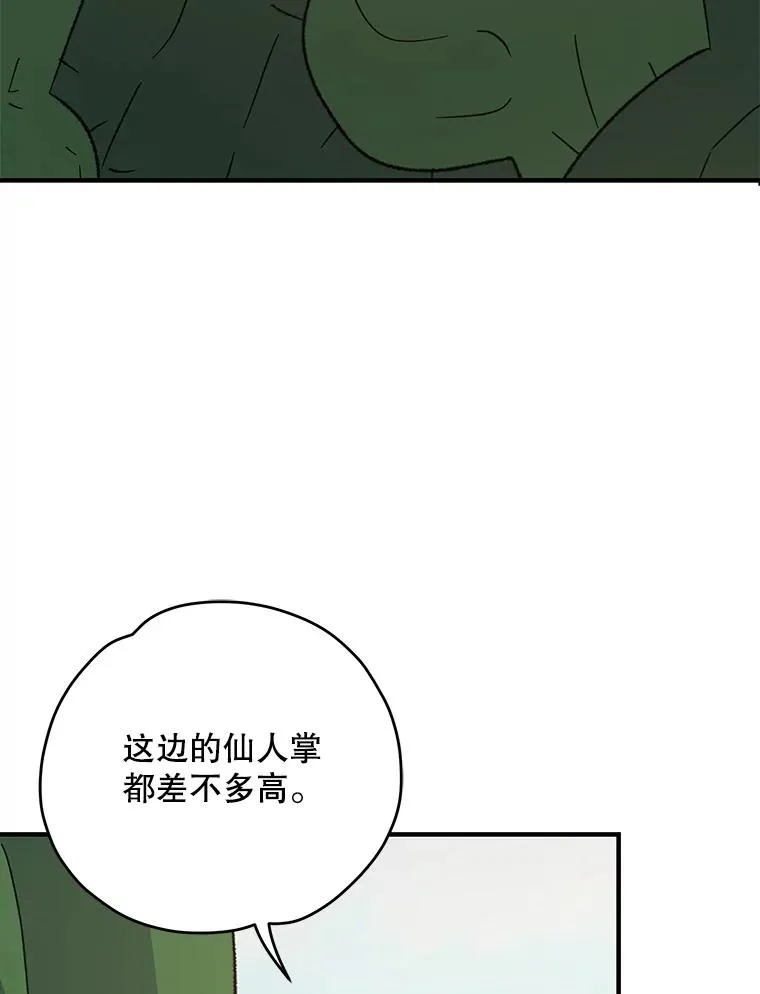 91.寻找千年仙人掌77