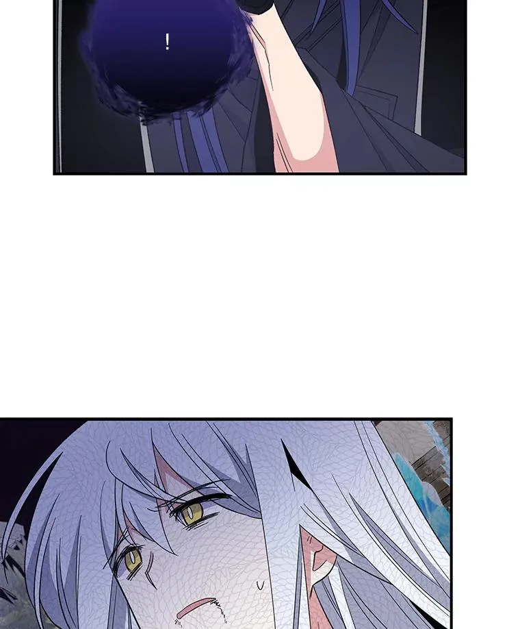 37.火之精灵王54