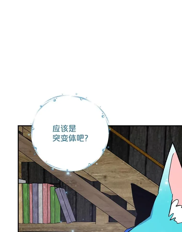 95.兰81