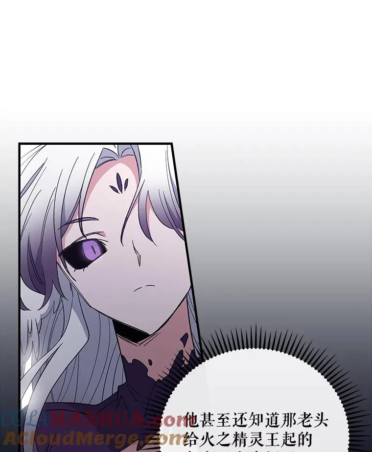 37.火之精灵王68