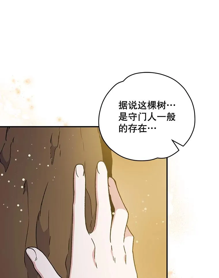 26.精灵学课程7