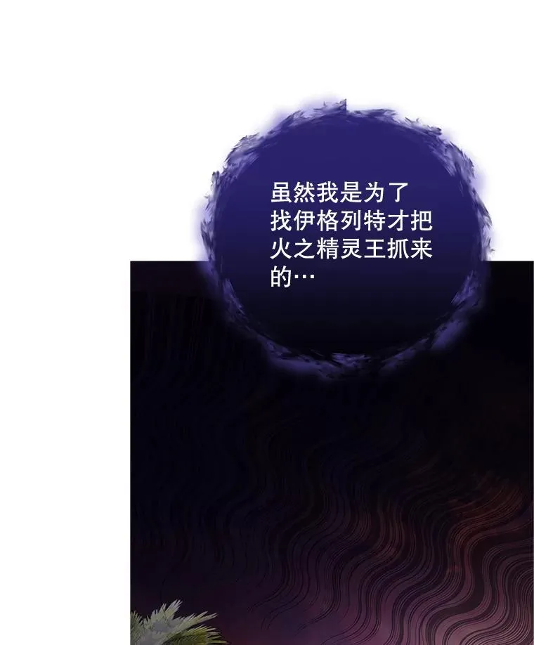 37.火之精灵王51