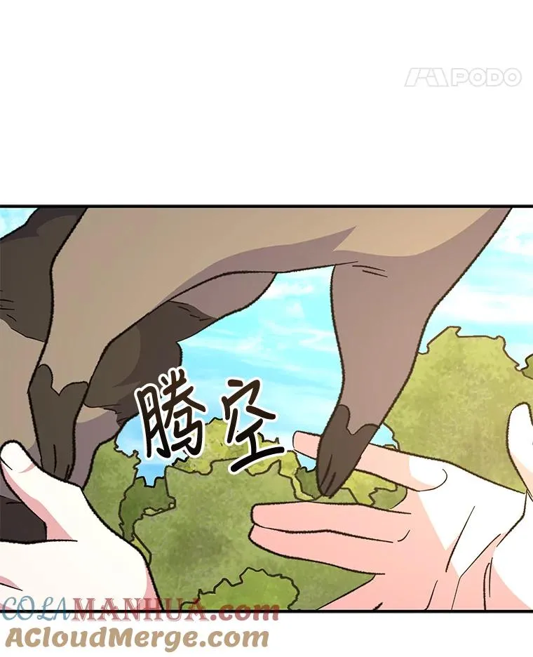 79.精灵格布48