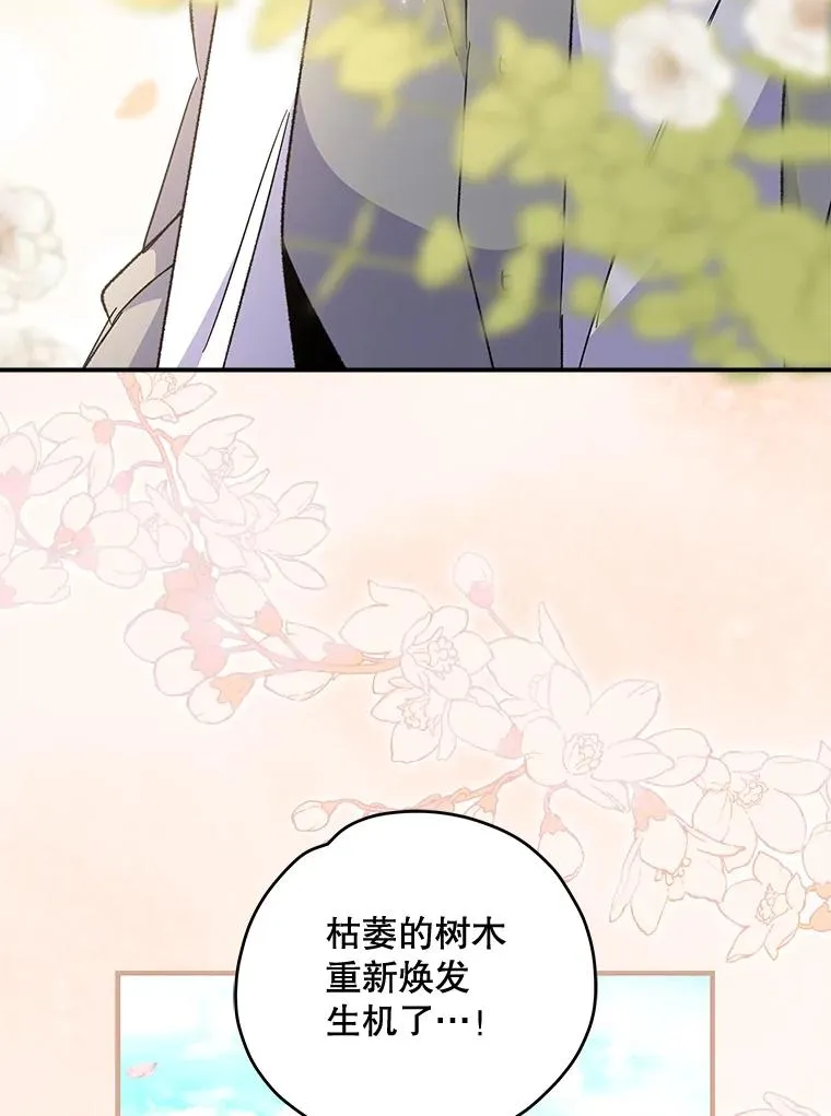 79.精灵格布67