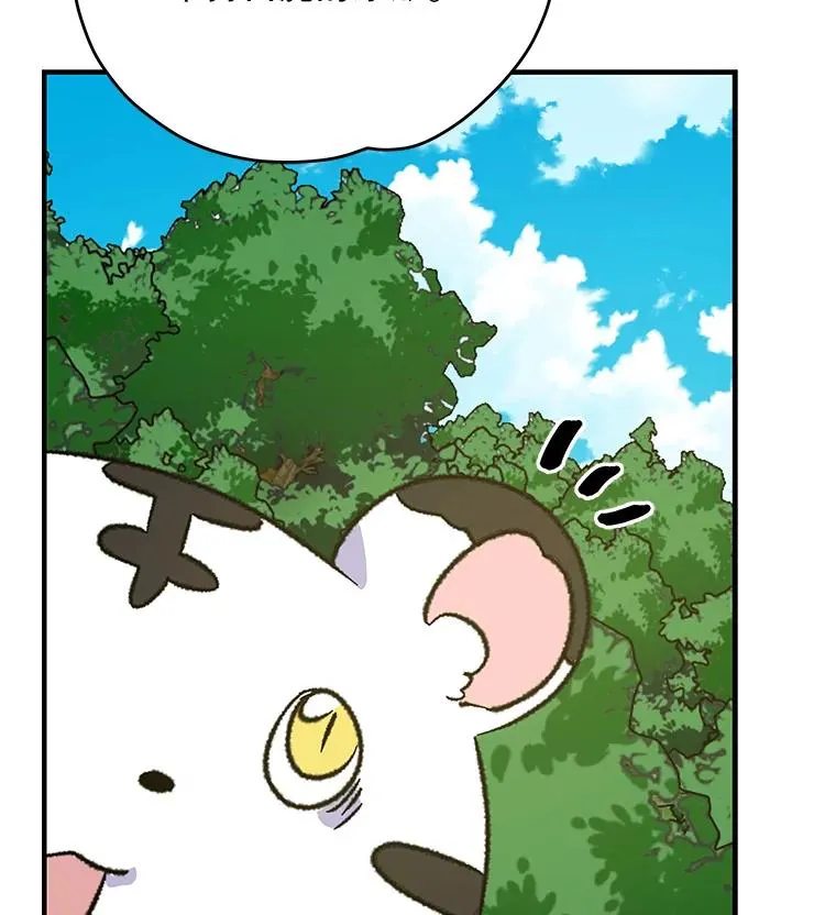 99.白虎的苦衷43