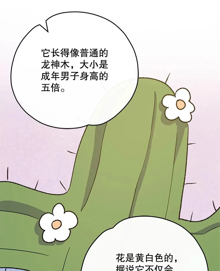 91.寻找千年仙人掌70