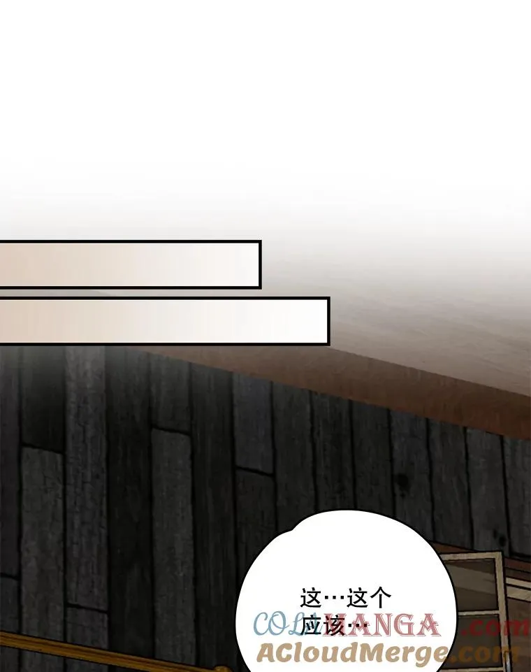 95.兰52
