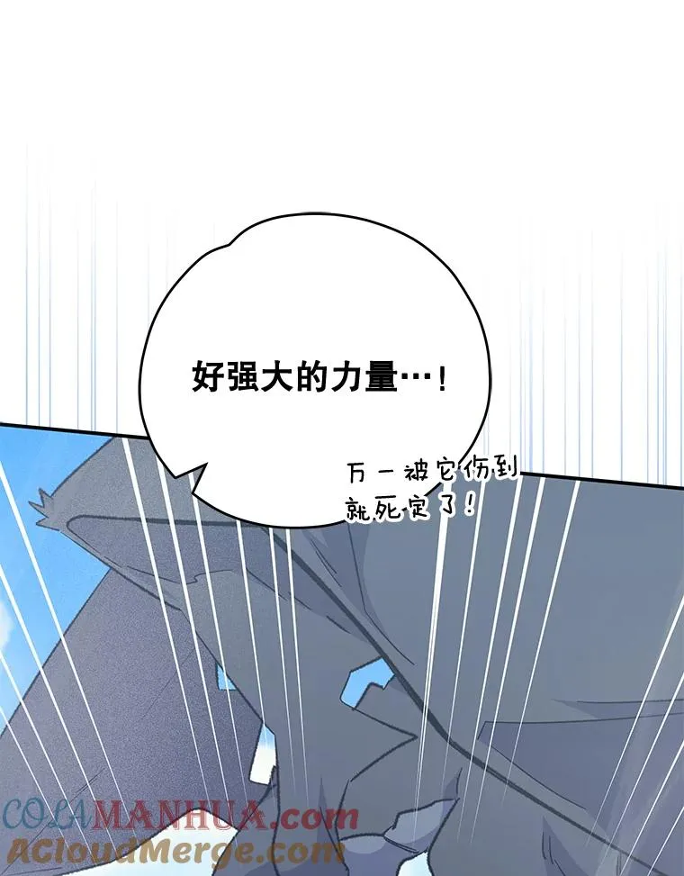 81.蓝飞龙8