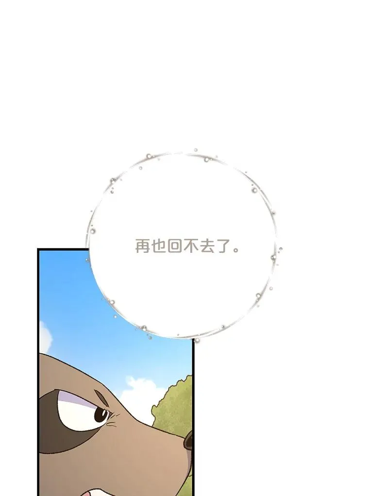 79.精灵格布33