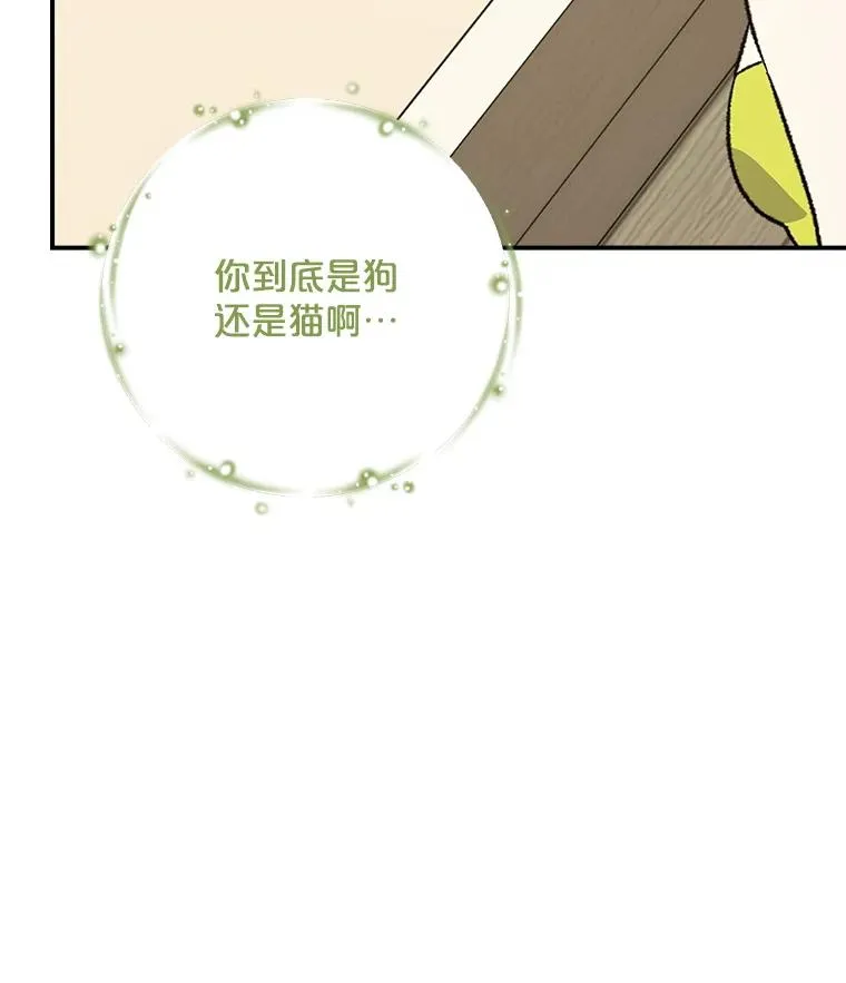 112.神兽的信物69
