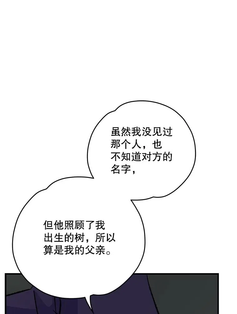 95.兰37
