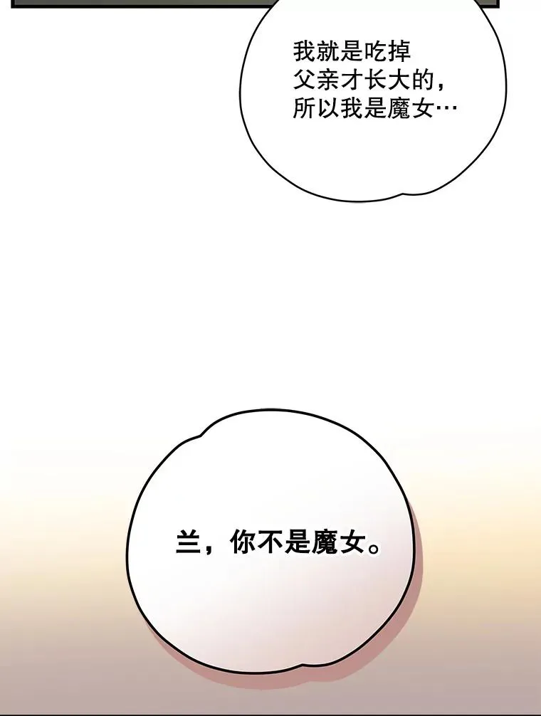 95.兰39