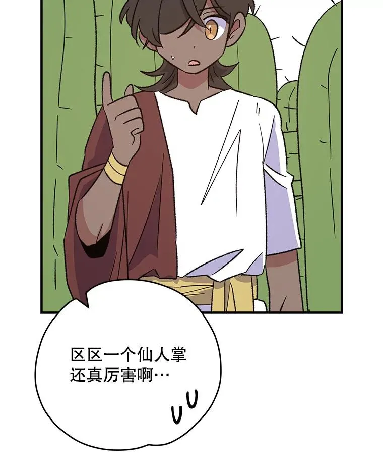91.寻找千年仙人掌61