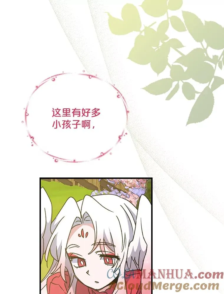 50.科尔12