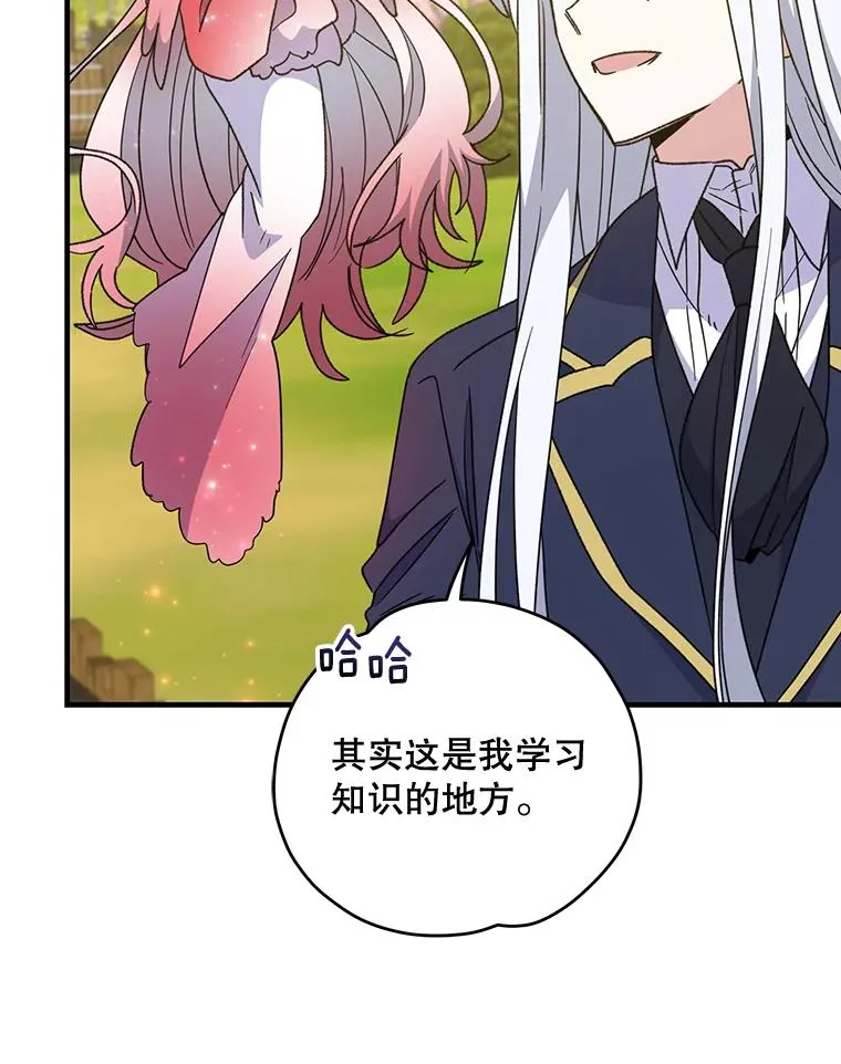 50.科尔19