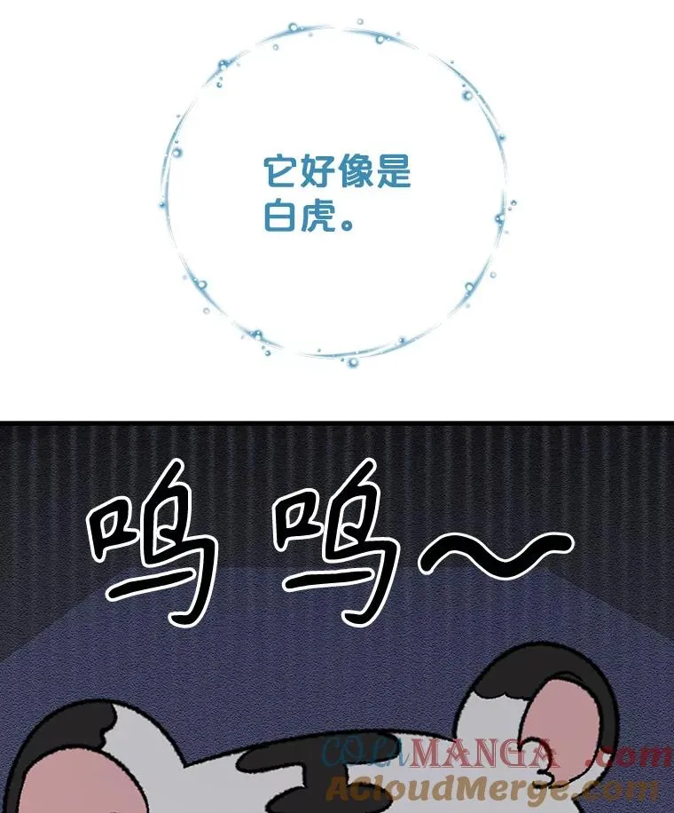 99.白虎的苦衷32