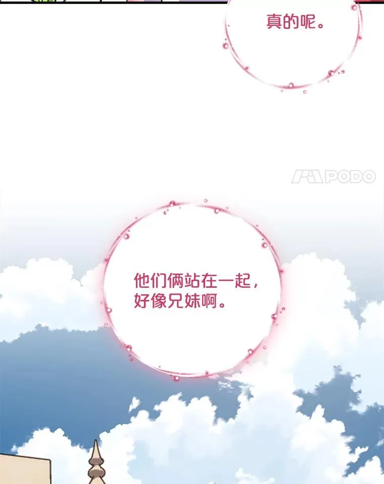 91.寻找千年仙人掌35