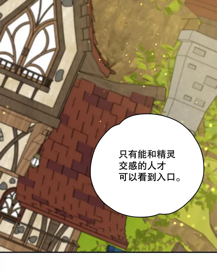 29.精灵契约45
