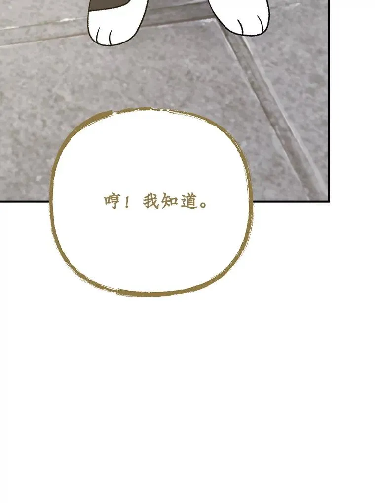 125.平安归来106