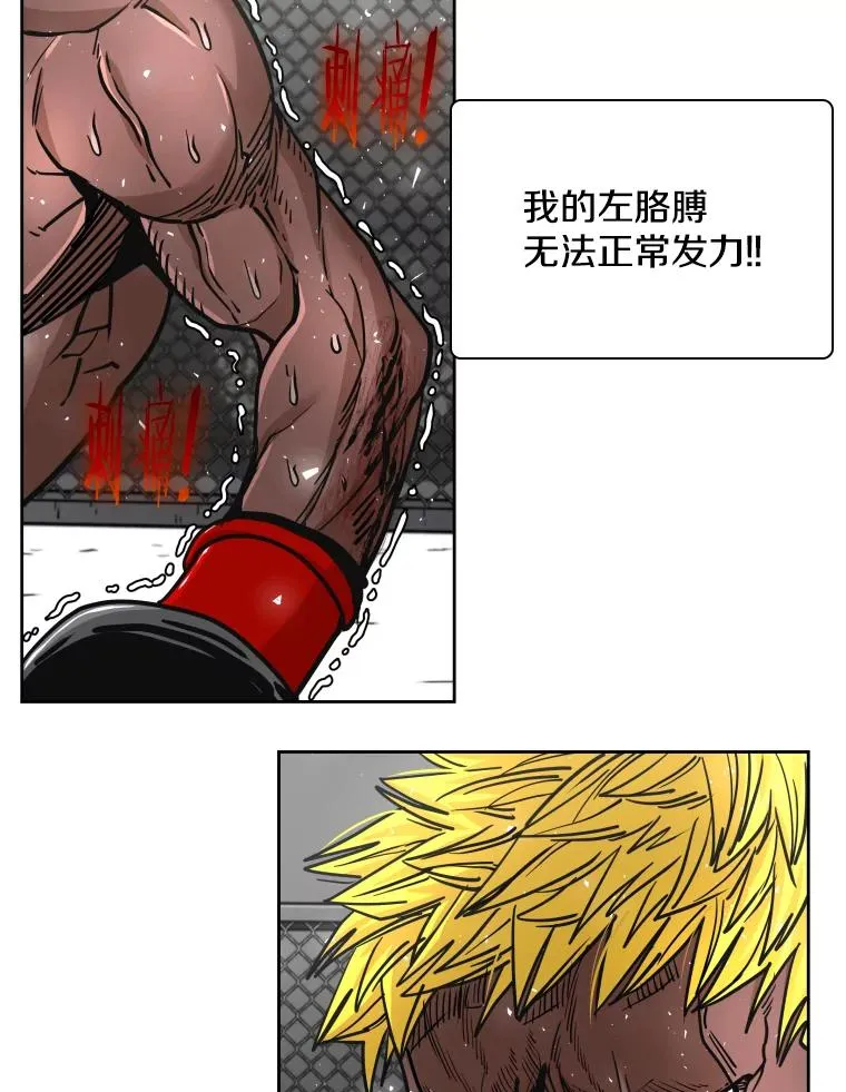 268.芝佳阁对战TKO胜38