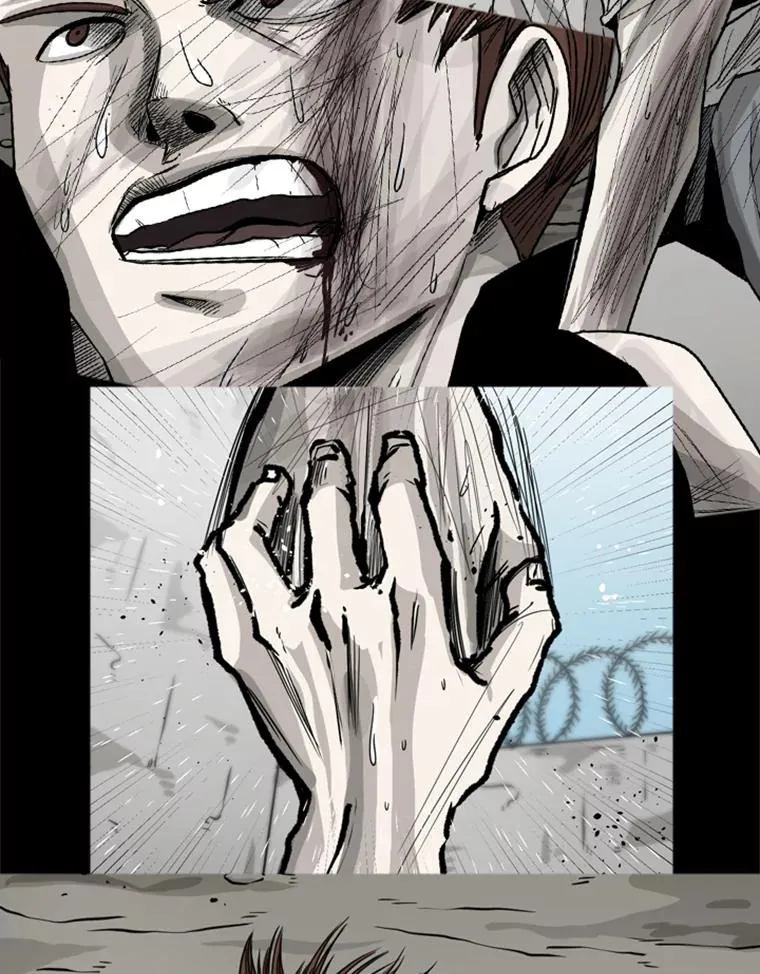 102.入秋27