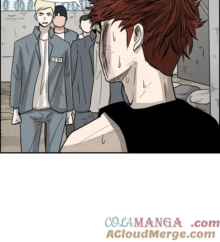 51.不死鸟20