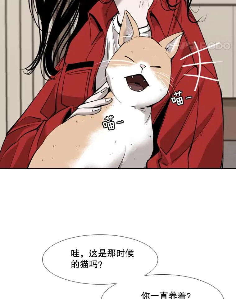 191.弃赛77