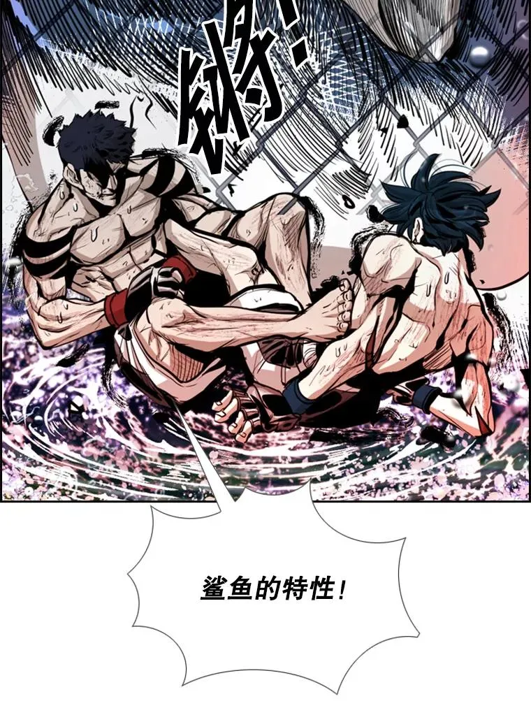 223.两条鲨鱼15