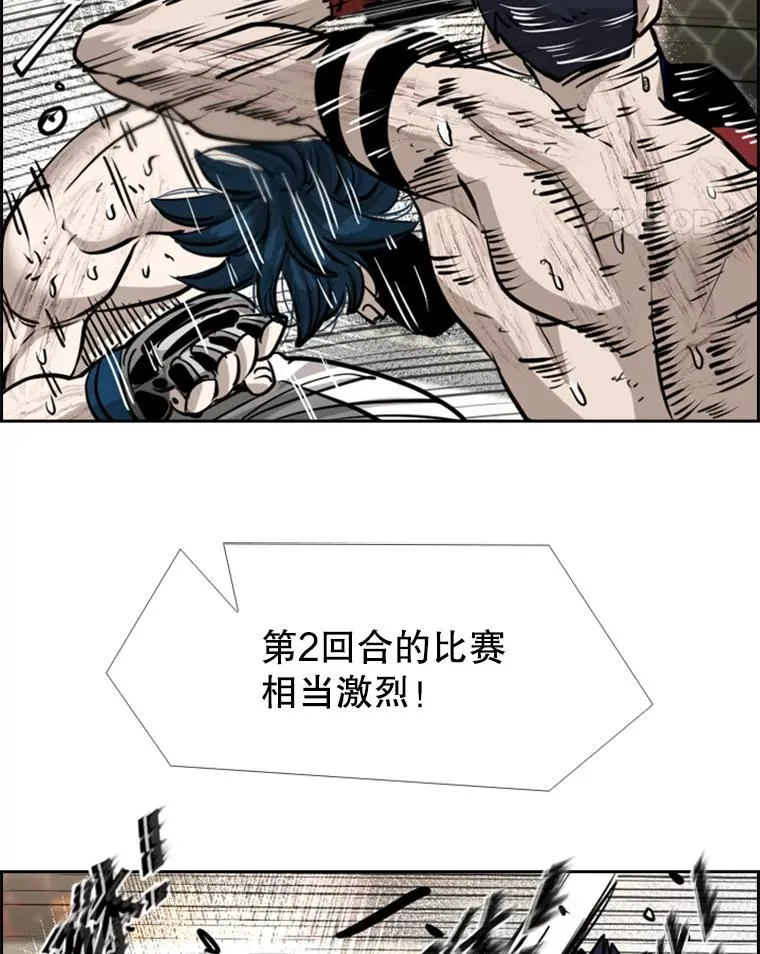 223.两条鲨鱼123