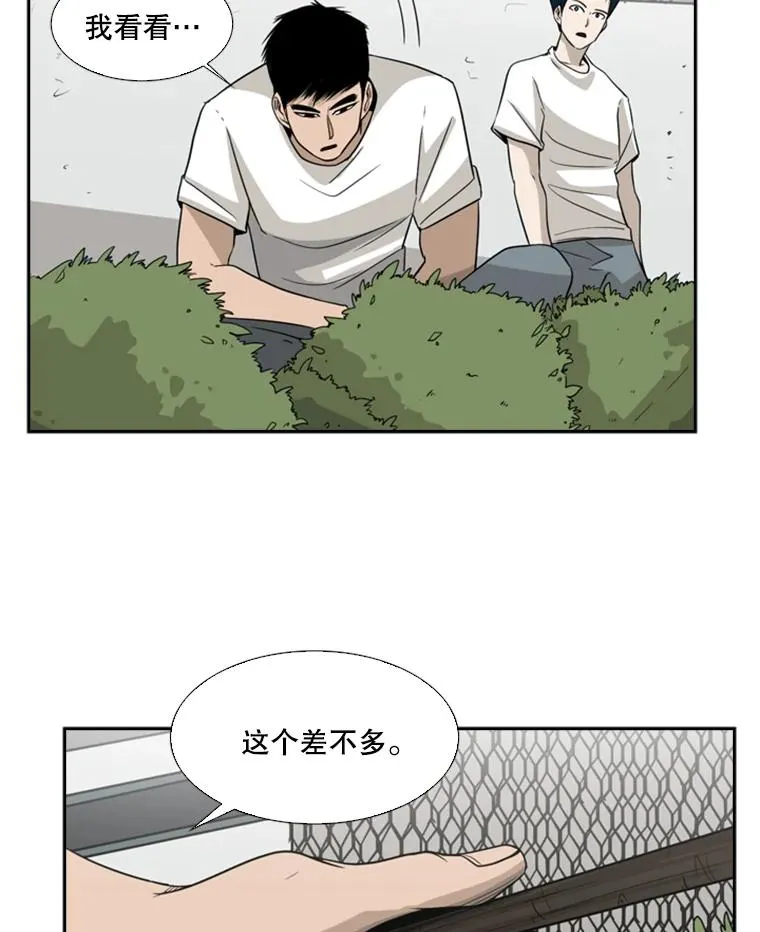 16.躲避52