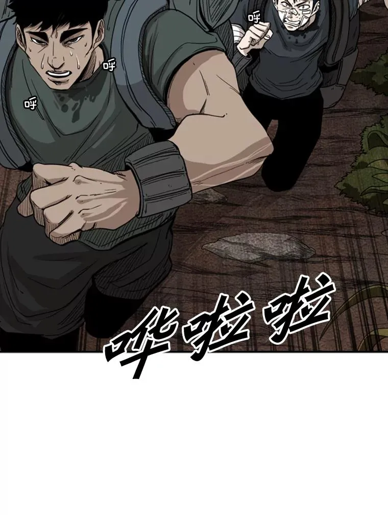 93.开始训练19