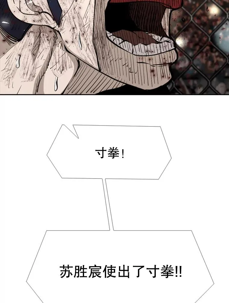 221.短剑和长矛109