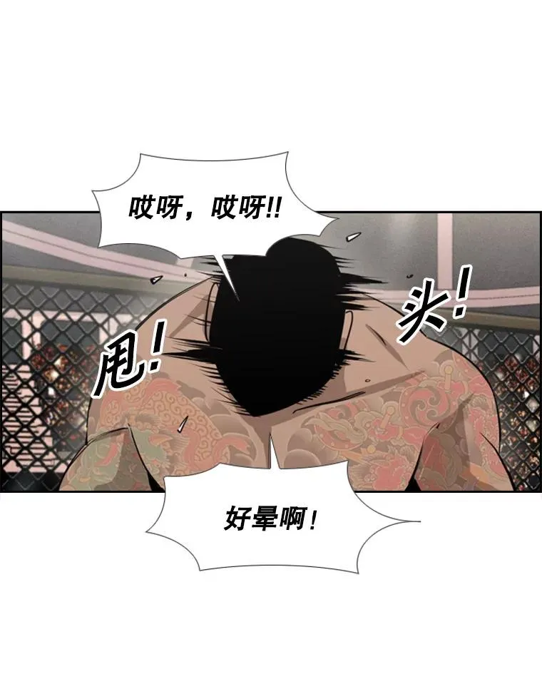 153.女王马蜂55