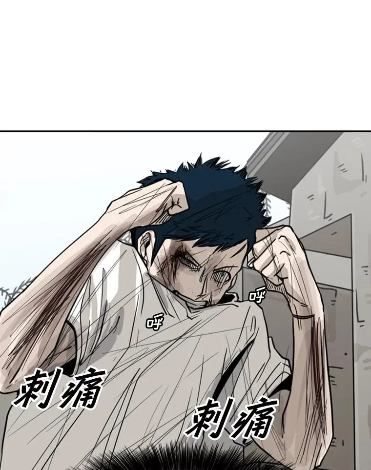 51.不死鸟78
